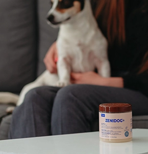 Gel difusor Zenidog