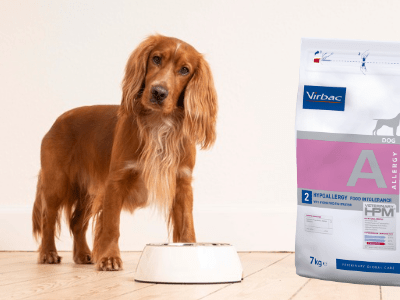 Alimentazione per Cani con Allergie