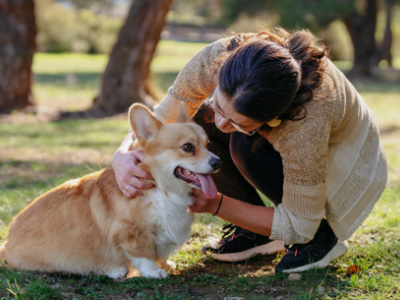 Cani Piccola Taglia-1