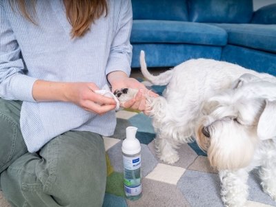 E per i cani e i gatti che non amano essere lavati