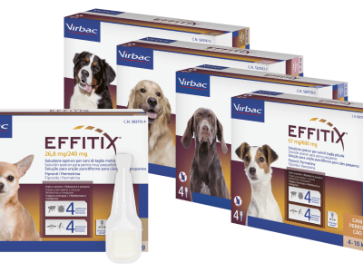 Antiparassitario per cani-4