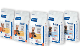 Cani Piccola Taglia-2