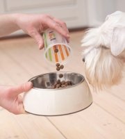 Person pouring dry dog food into a bowl while a white dog eagerly watches.