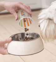 Dog_person pouring pet food in a bowl with white dog looking_indoor_with petowner_advice