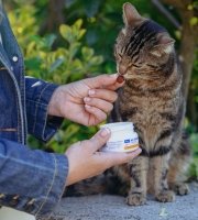 Person feeding a tabby cat a supplement treat from a white container outdoors.